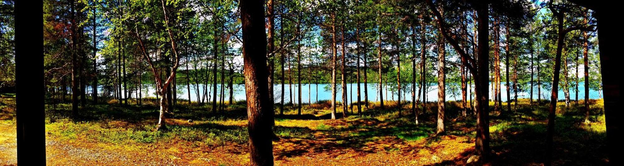 Ukonjaerven Holiday Village Ивало Номер фото