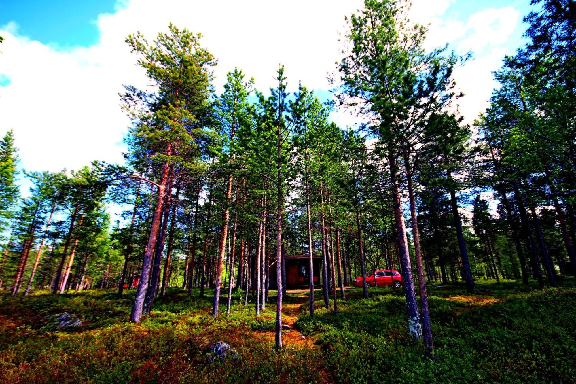 Ukonjaerven Holiday Village Ивало Номер фото