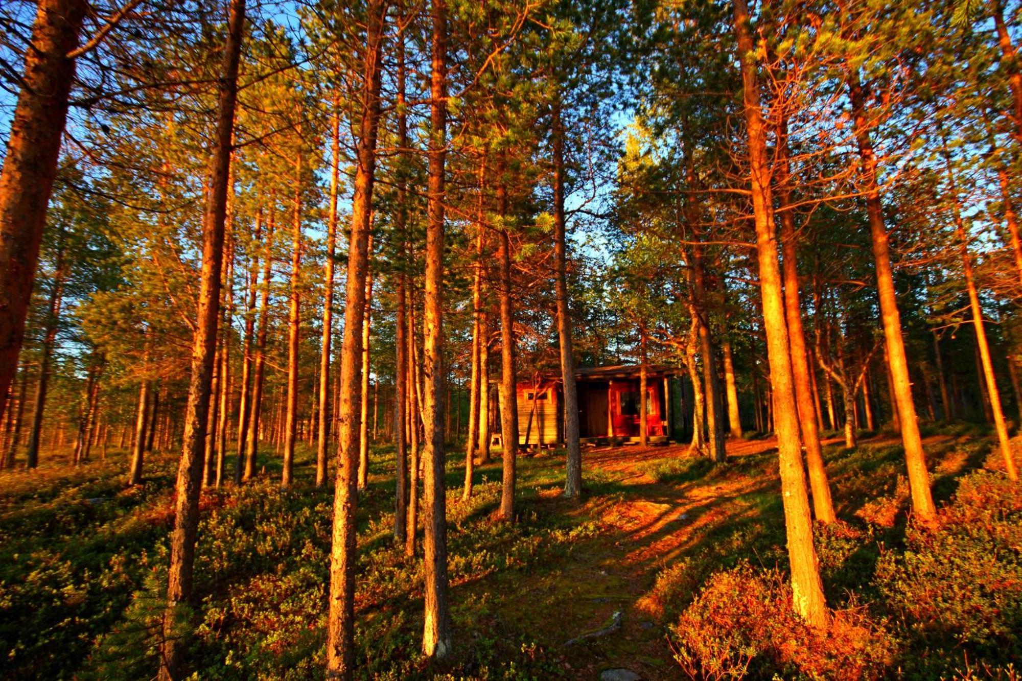 Ukonjaerven Holiday Village Ивало Номер фото