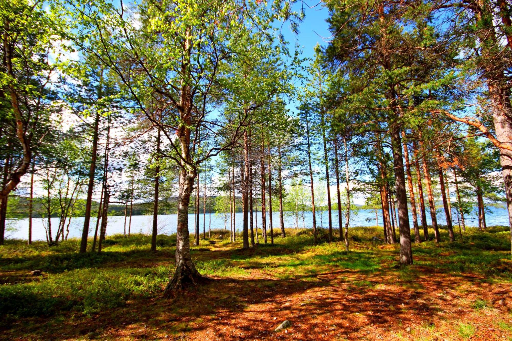 Ukonjaerven Holiday Village Ивало Номер фото